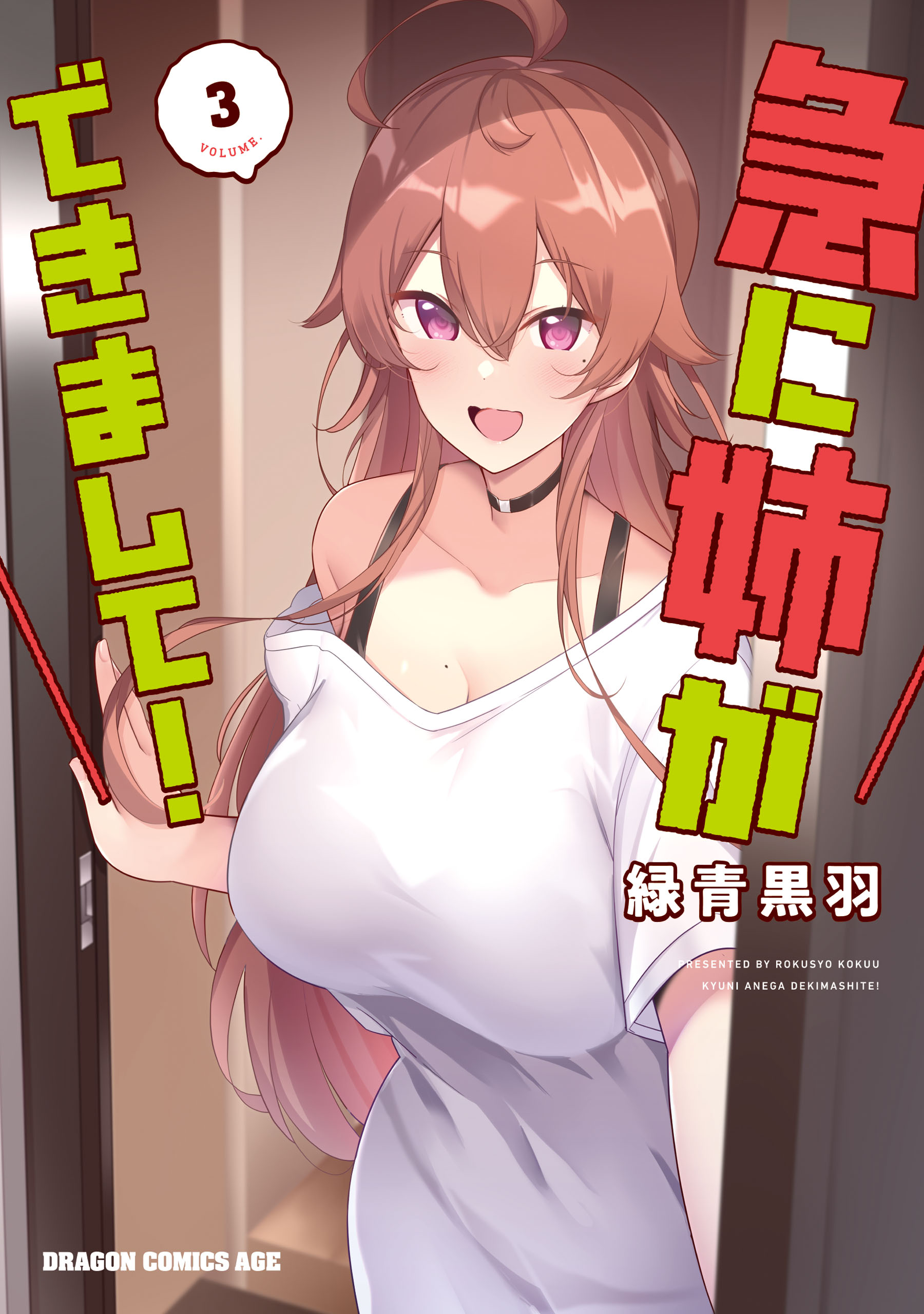 Cover of Kyuni Anega Dekimashite!