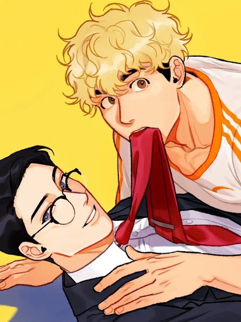 Cover of O Bom Professor