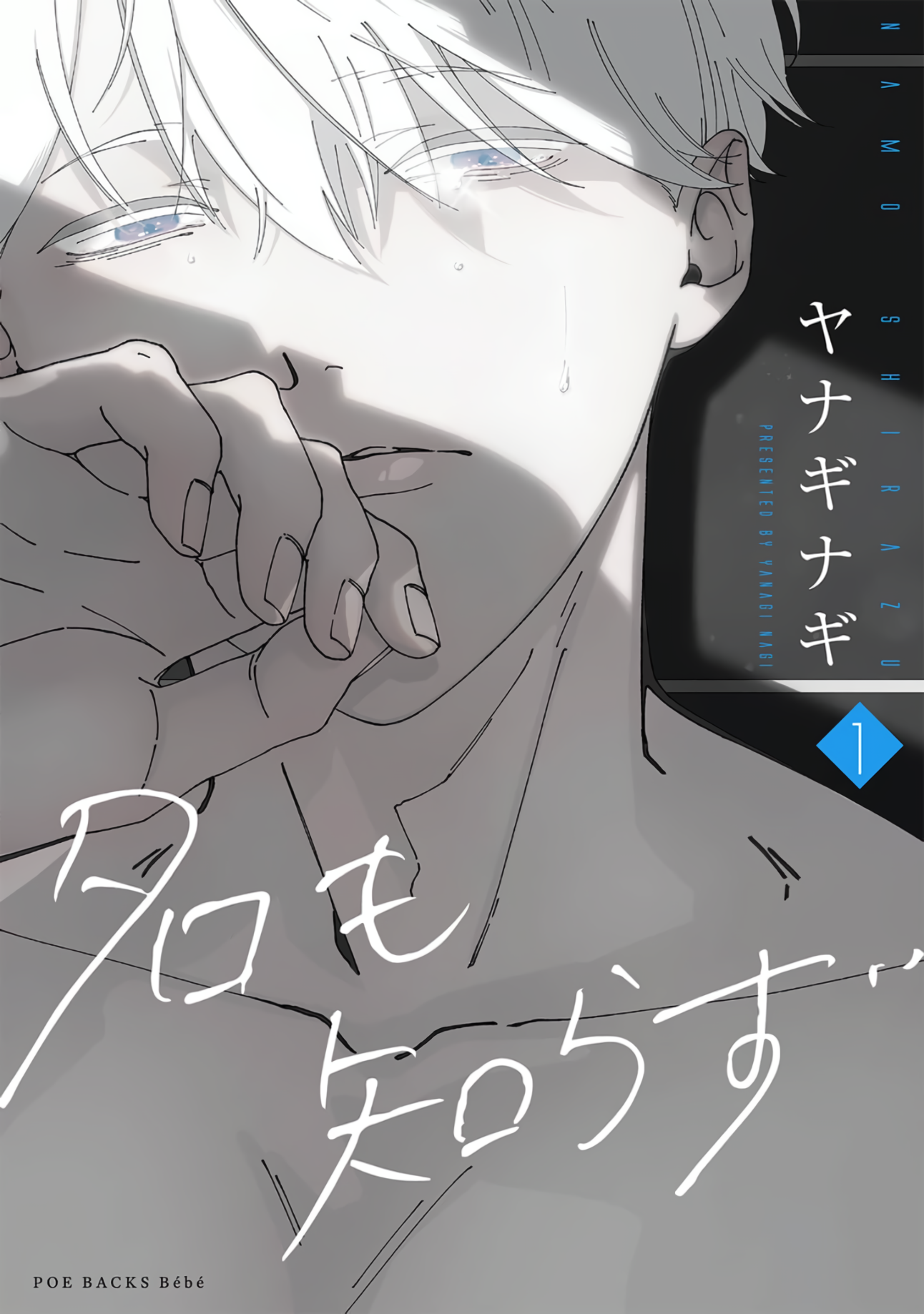 Cover of Namo Shirazu